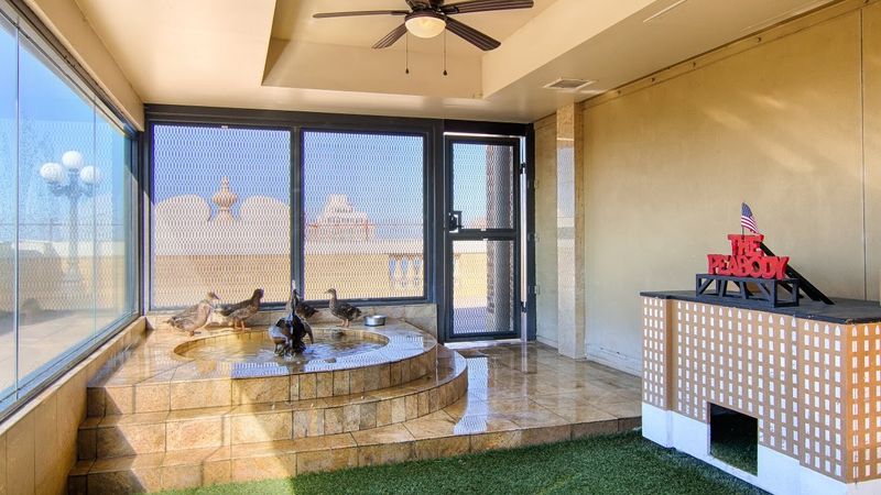Rooftop Royalty Gets A Palace And A Happy Retirement