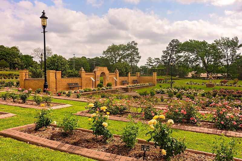 Tyler Rose Garden