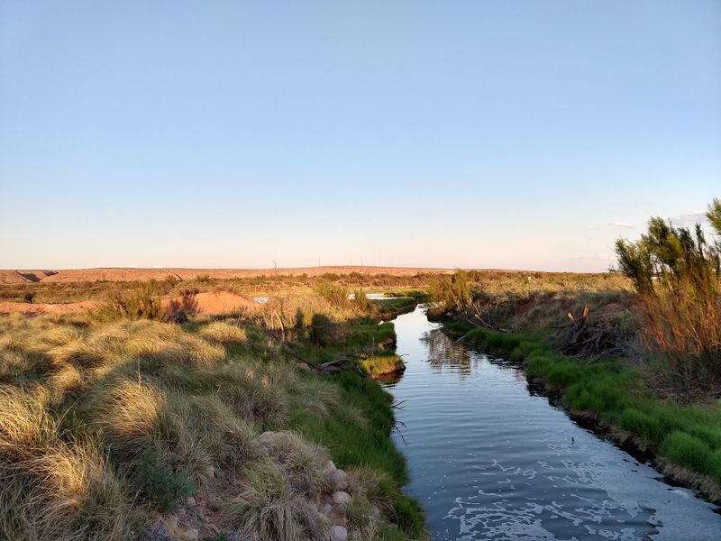 Where The Pecos River Feeds The Wetlands