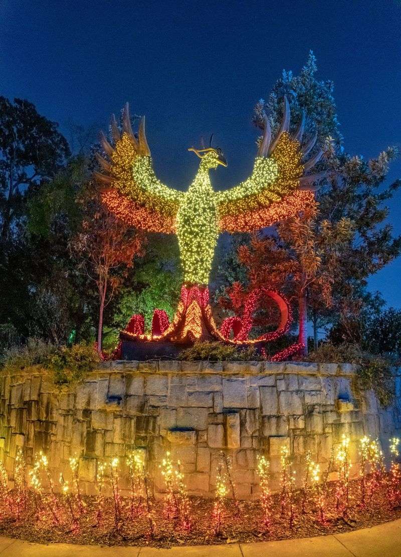 Prepare To Be Wowed By A Curtain Of Light And Sound