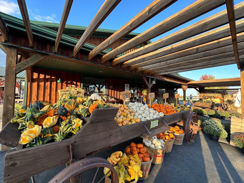 Pumpkins Stay At The Center Of The Festival