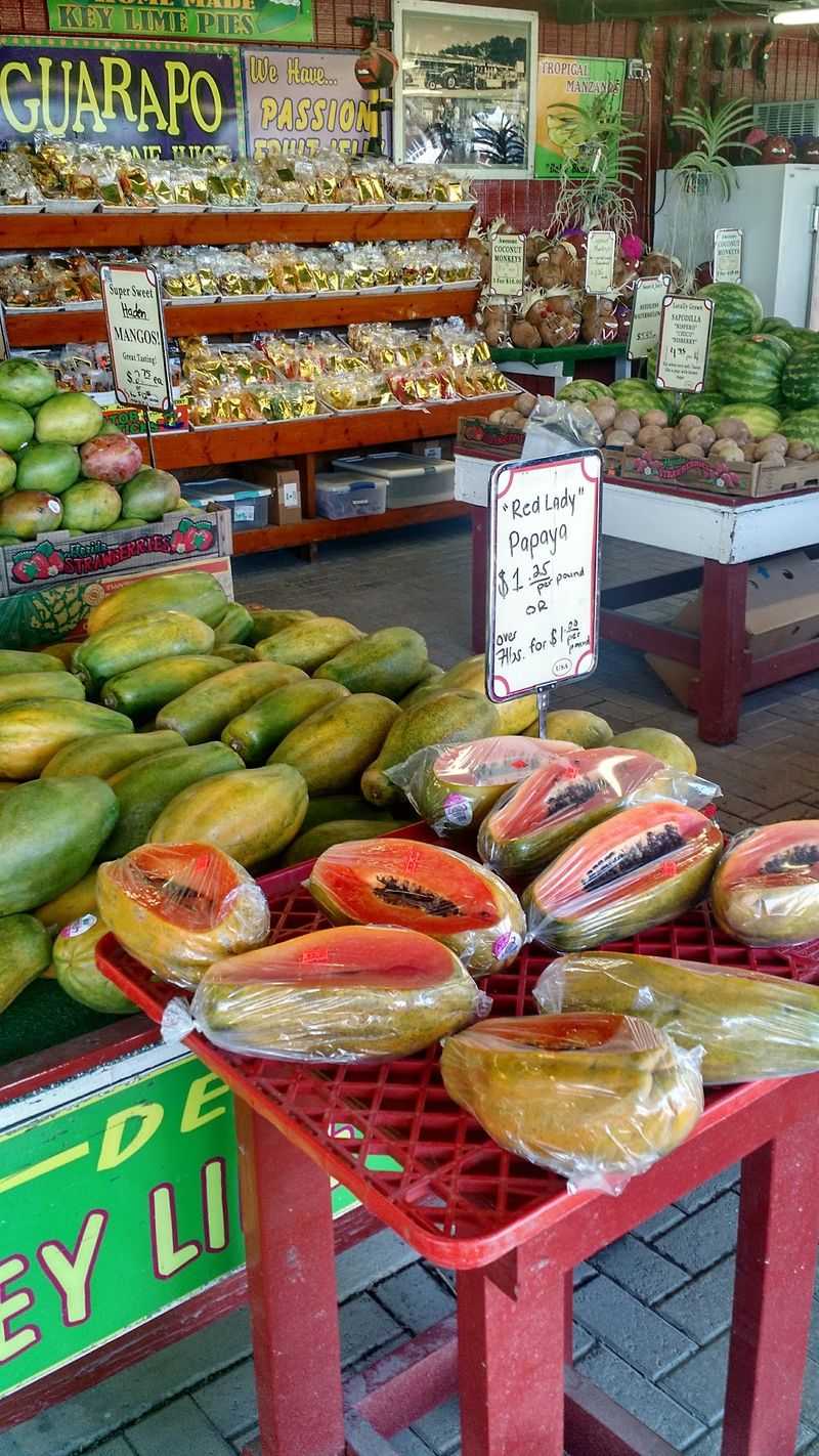 Time Your Trip Right Before The Calendar Runs Out