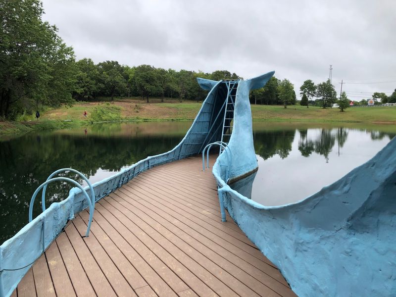 Swimmers Once Climbed And Played Around The Whale