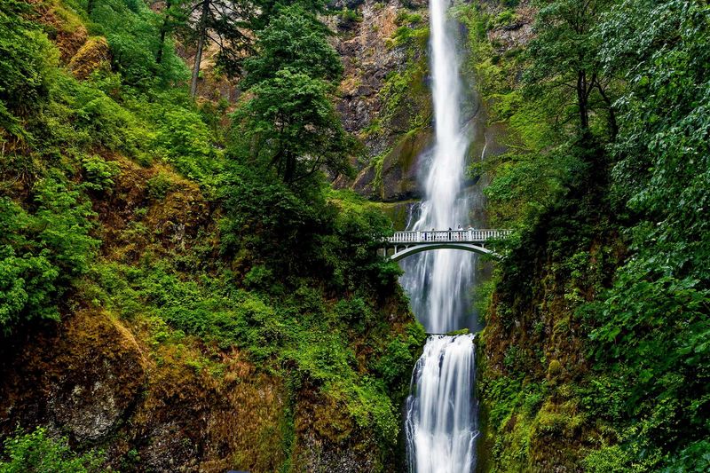 Two Cascades Against Ancient Basalt Cliffs