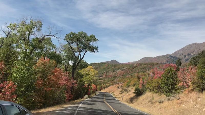 Two Towns, One Mountain, And A Road That Climbs Past 9,000 Feet