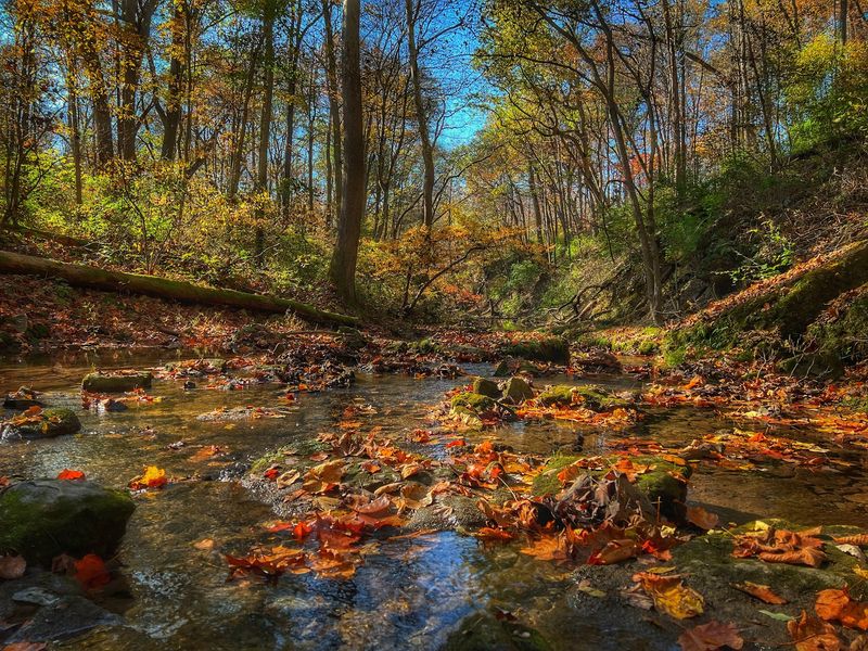 Glen Helen Adds The Spring That Gave The Village Its Name