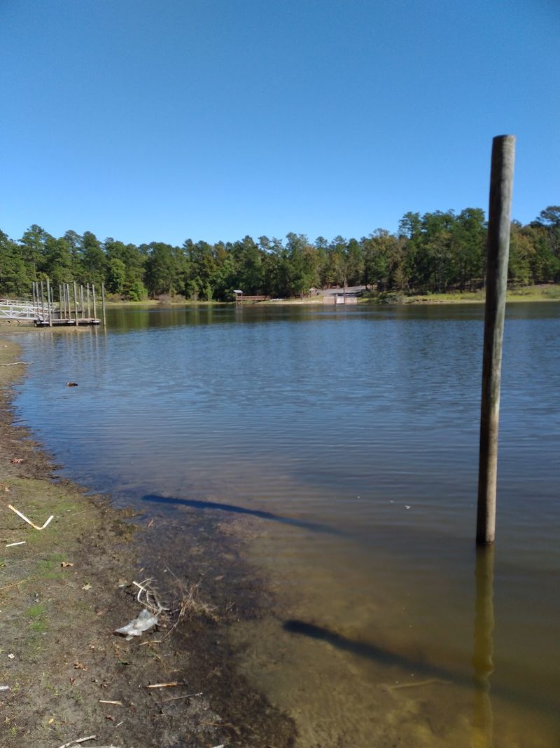The Shoreline Had Neighbors Before It Had Waves