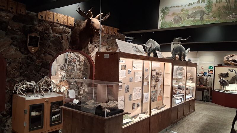 Carter County Museum