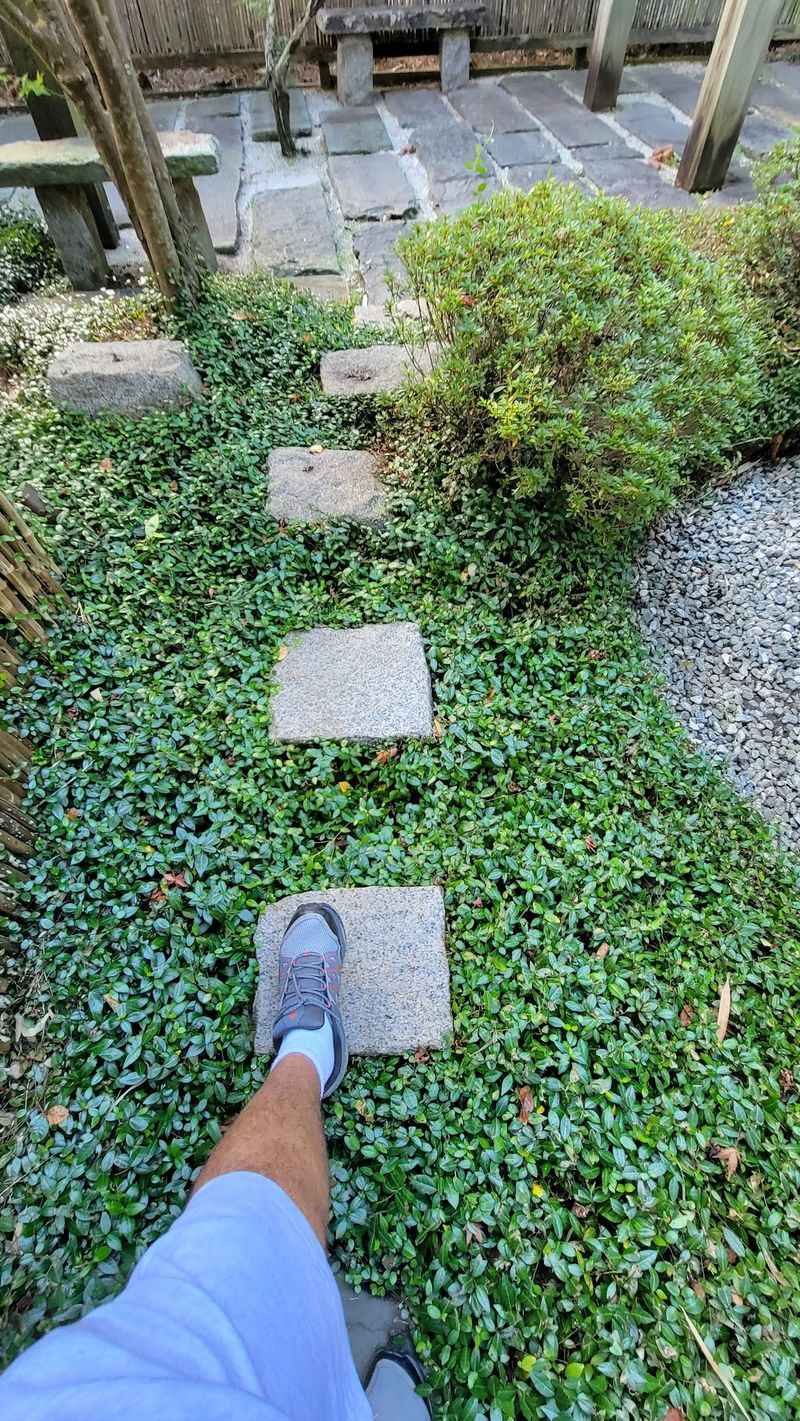 Stone Paths Set The Pace