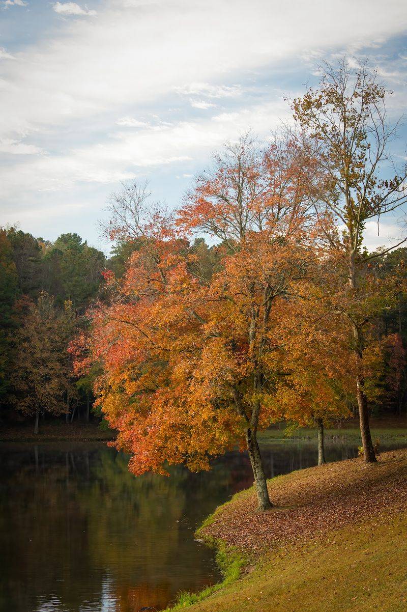 Build The Fall Day Around The Pace You Actually Want