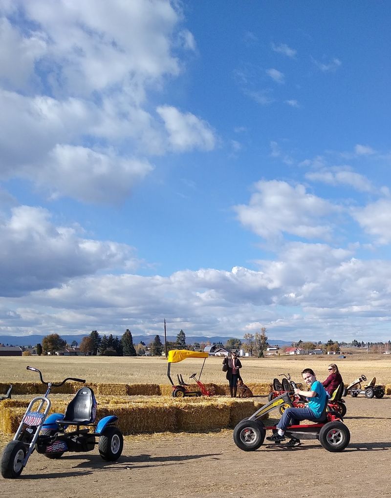 Pedal Carts And Tricycles Put Kids In Charge