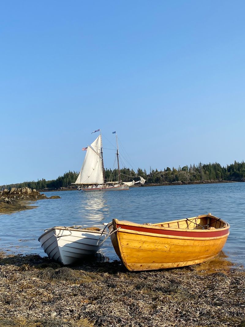 What To Know Before Booking A Camden Windjammer Trip