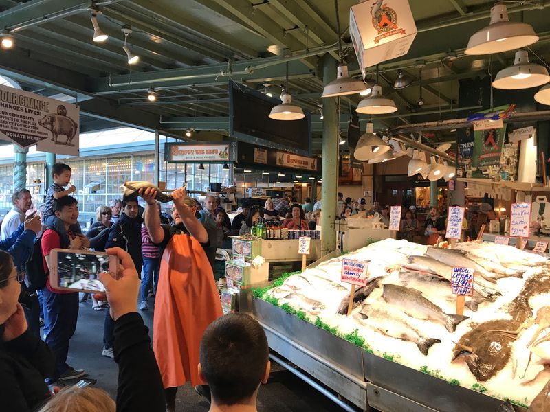 Why The Fish Fly Instead Of Being Carried