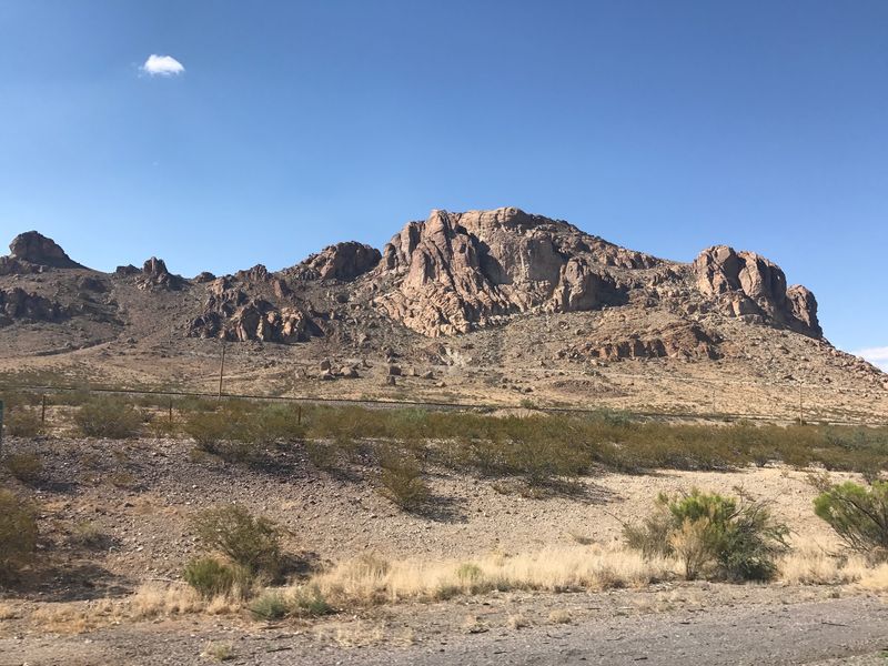 Snakes, Lizards, And A Giant Rattle Make For A Wild Day Trip