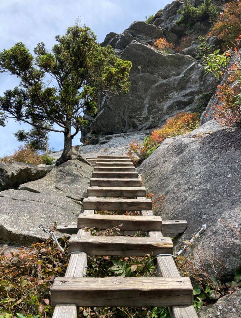 Ladders And Cables Await The Bold Hikers