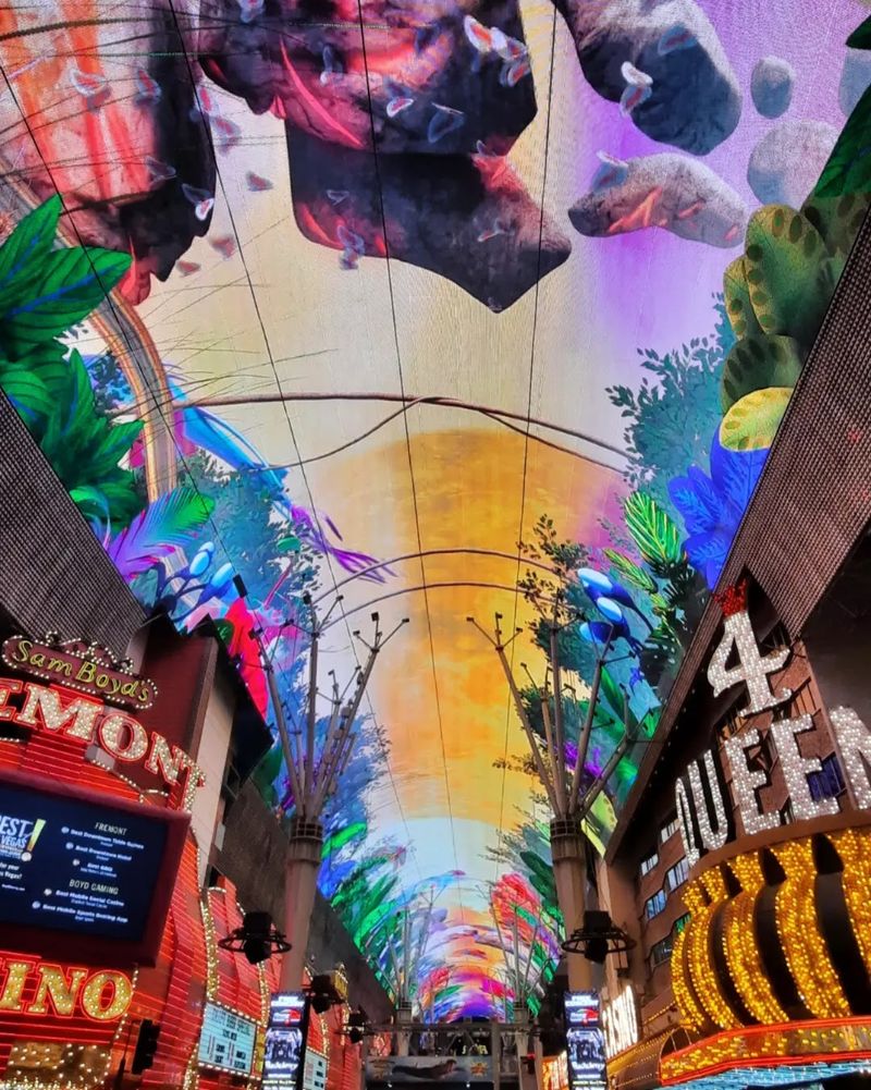 Viva Vision Creates The Ceiling Above The Ride