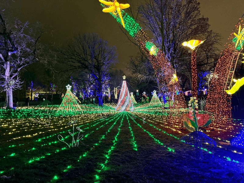 Walk Straight Through A River Of Twinkling Lights