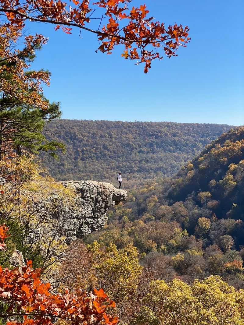 A Rock That Looks Ready To Take Flight