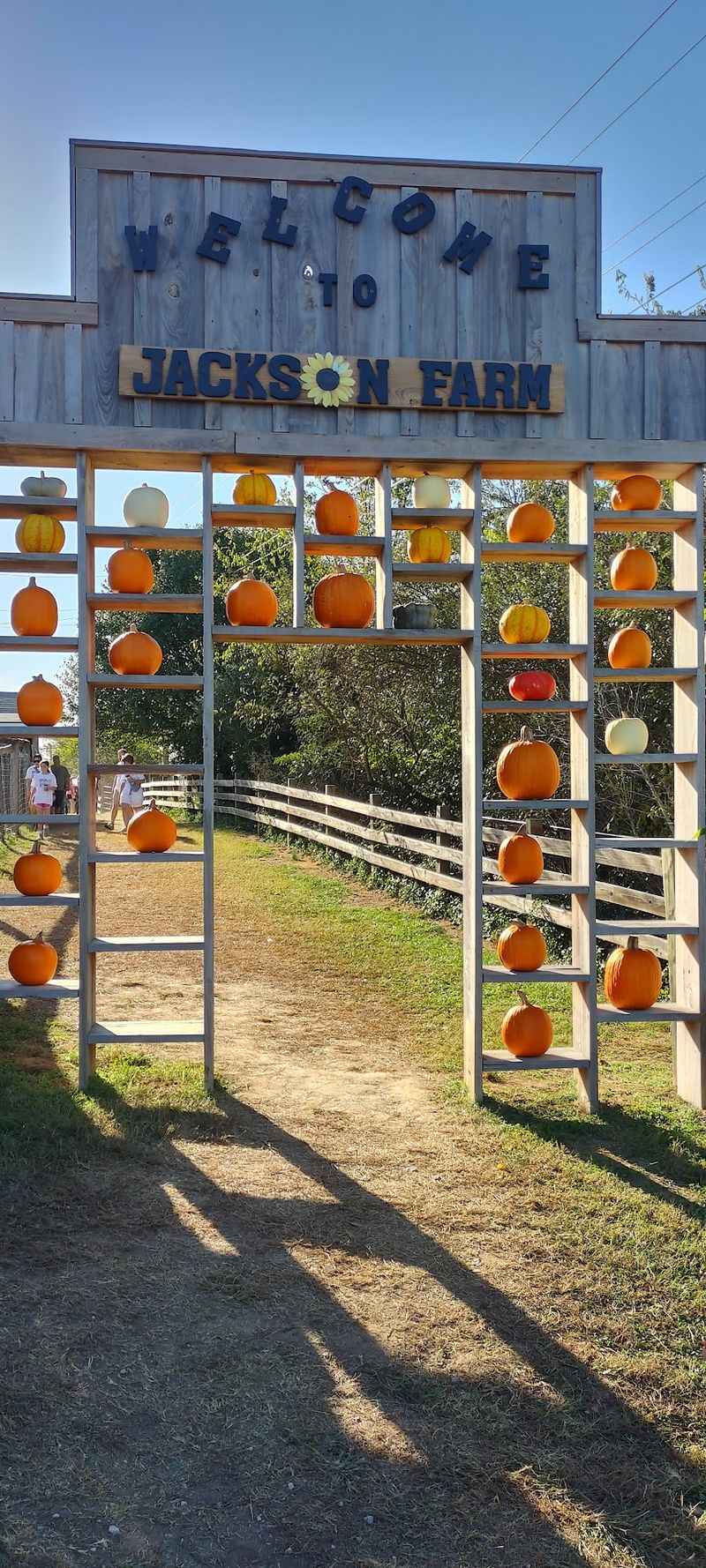 Why This Farm Becomes A Fall Destination Every Year