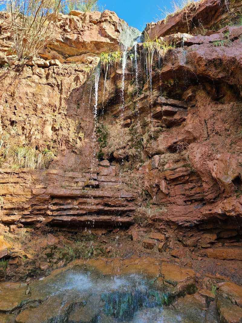 A Short Hike With A Big Surprise