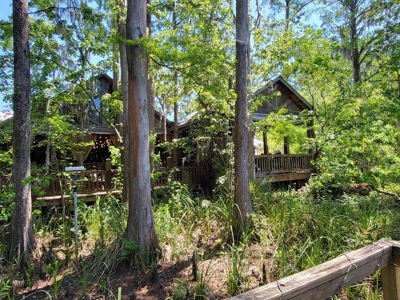A Bayou Setting That Feels Plucked From A Storybook