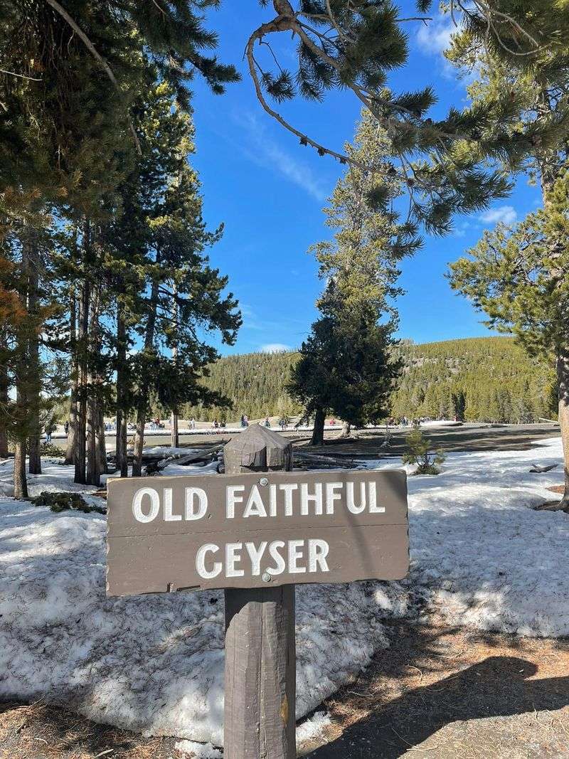 A Familiar Landmark In Yellowstone's Upper Geyser Basin
