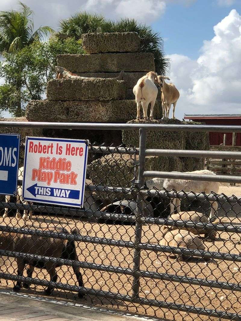A Six-Year-Old And A Hand-Painted Sign Started Everything