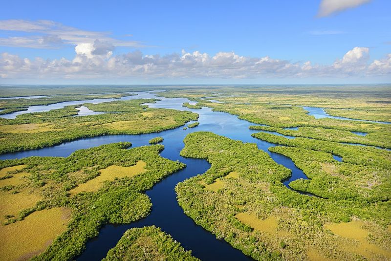 The River Of Grass Is Bigger Than You Think
