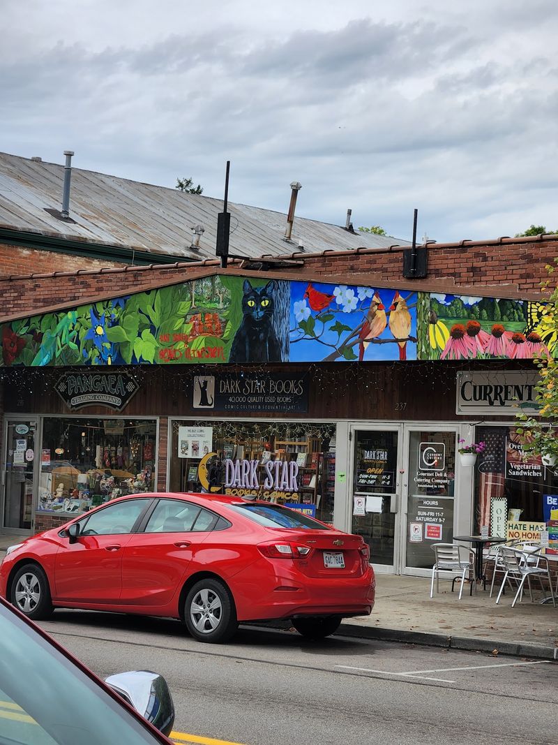 Murals Turn Ordinary Walls Into Part Of The Walk
