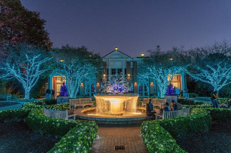 A Prize-Winning Glow Show Lights Up Every Path