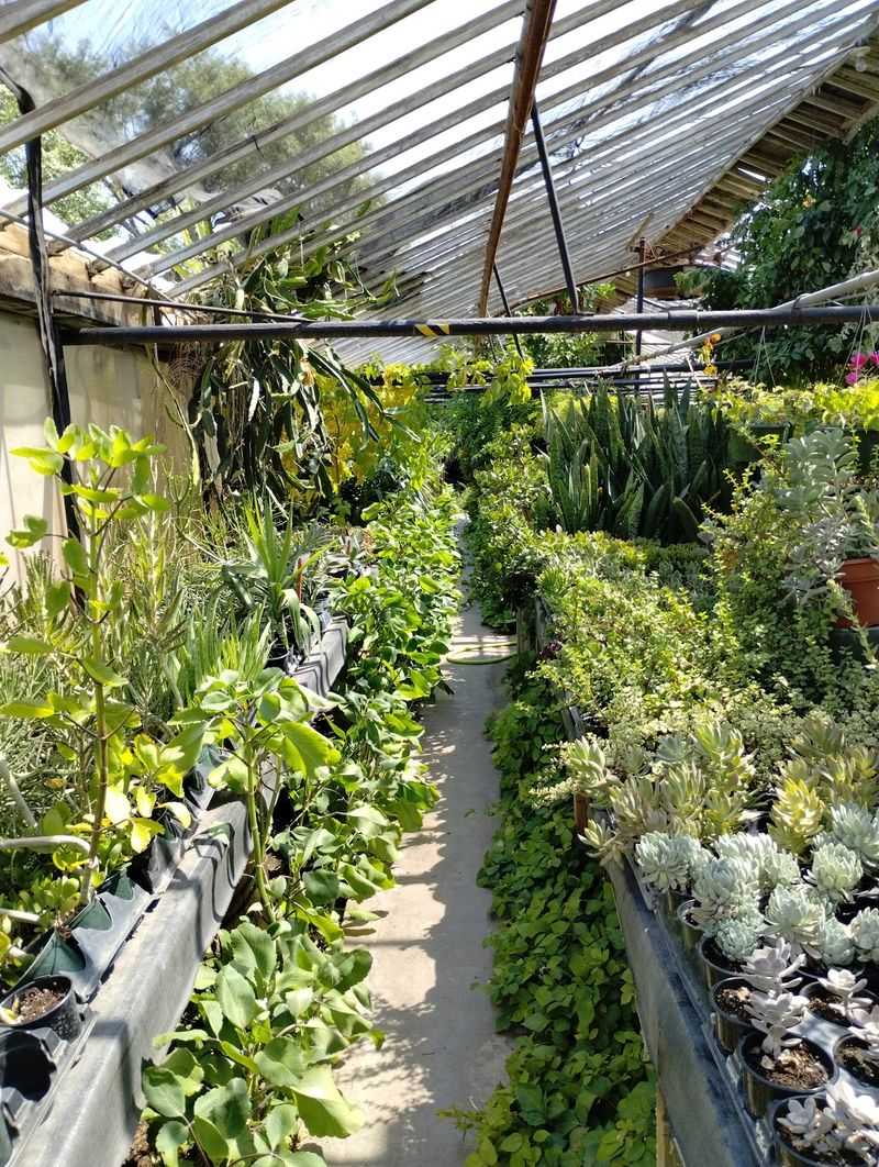 Five Generations Of Green Thumbs Is A Pretty Big Deal