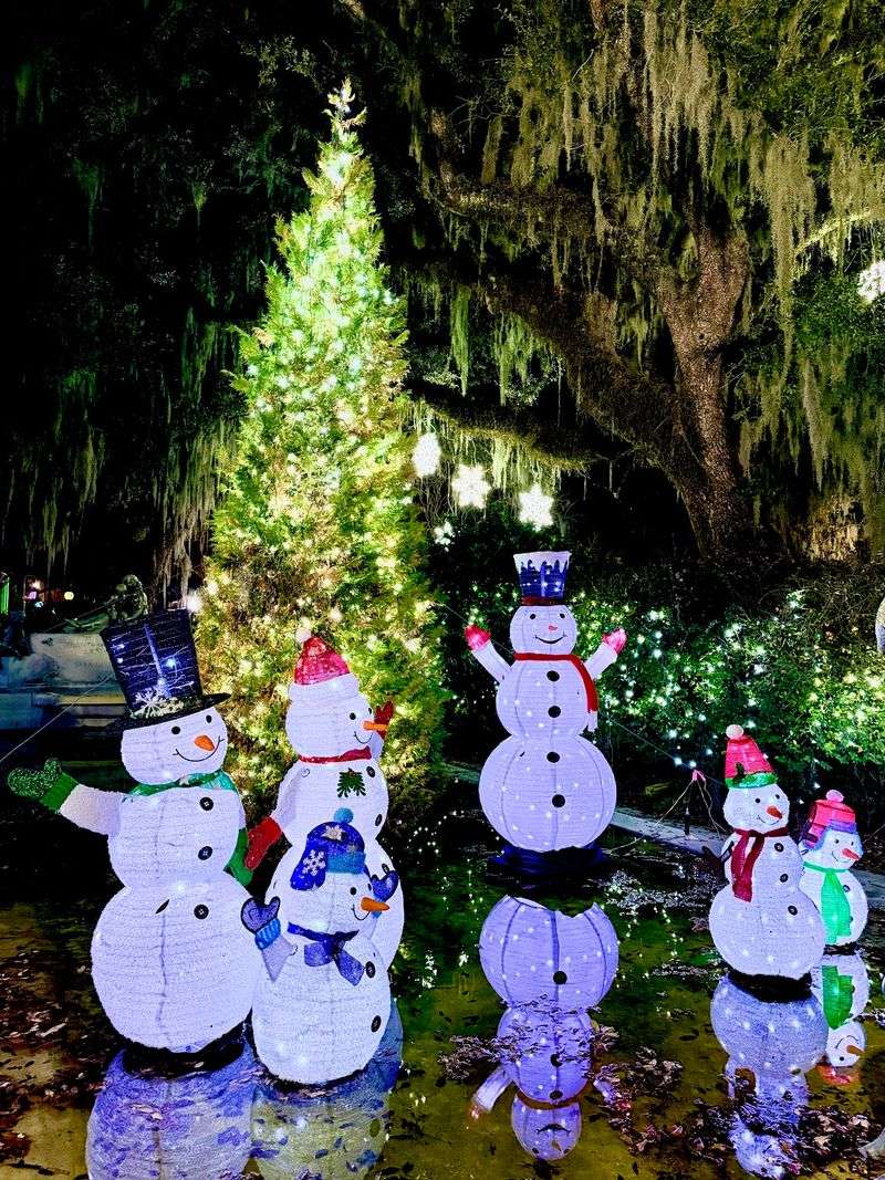 A Small Tree Show Grew Into A Tradition