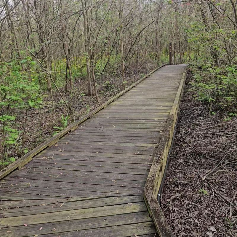 Your Sneakers Stay Dry On This Mile Of Boardwalk