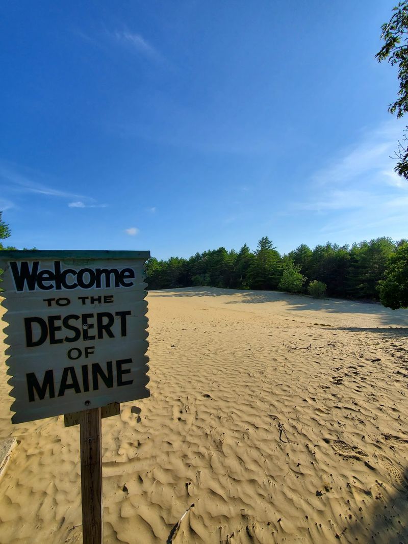 Those Dunes Really Are Sitting In The Middle Of A Pine Forest