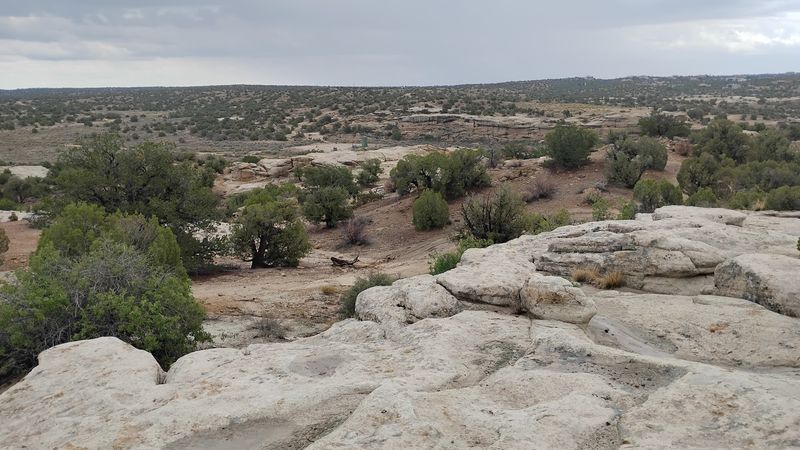 Nineteen Thousand Acres Means You Won't Run Out Of Dirt