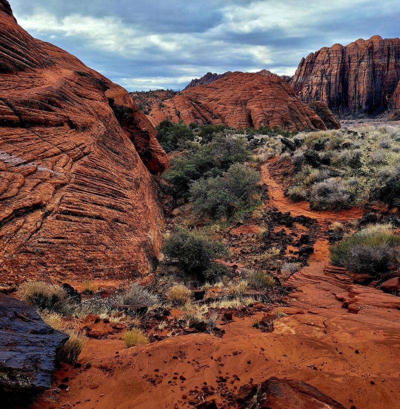 Rattlesnakes Belong To Snow Canyon’s Landscape