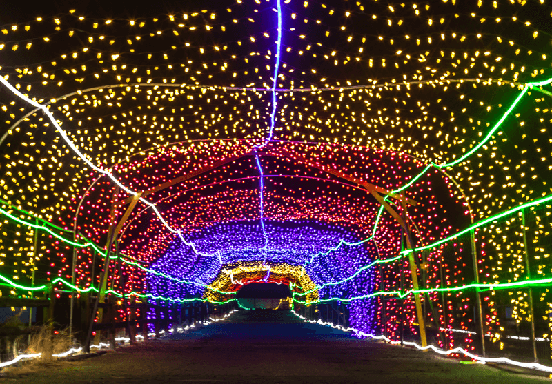 Two Ways To See The Lights Make This Twice The Fun