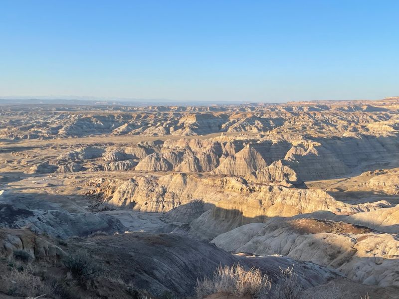 Snake Habitat Winds Through The Badlands