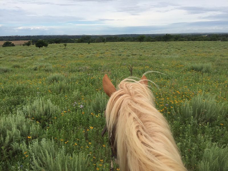 Seven Hundred Twenty Acres Of Ranch Country