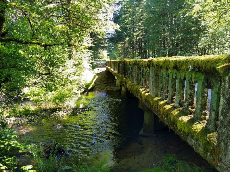 This State Park Is Home To Oregon's Famous Trail Of Ten Falls