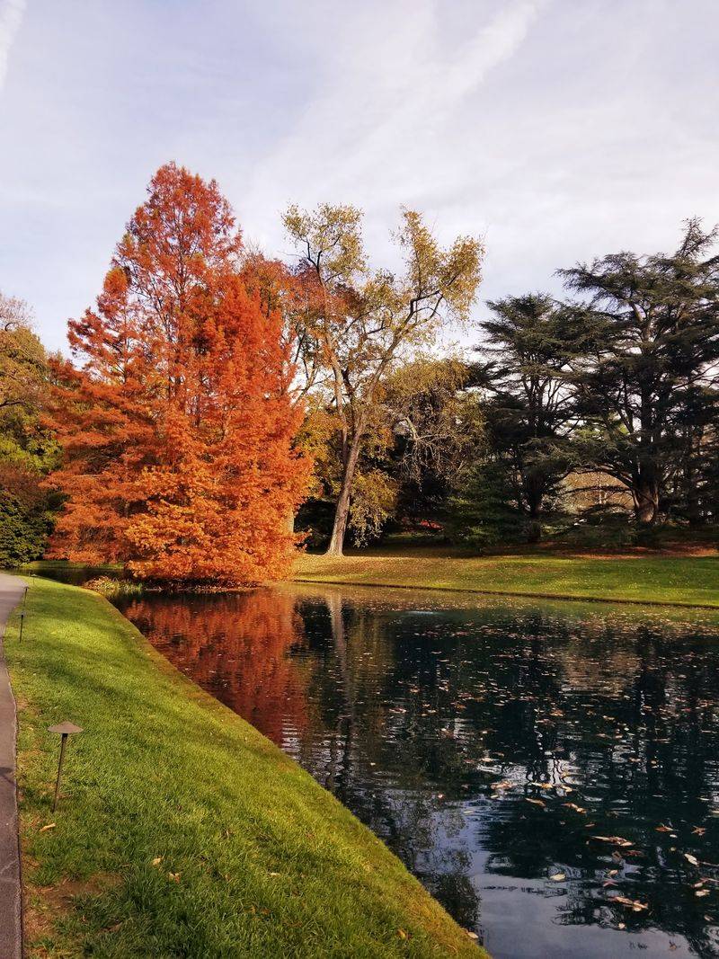 How Autumn Transforms This Garden Into A Landscape Of Red Gold And Orange