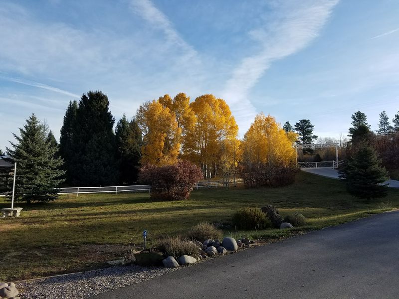 Golden Hillsides Steal The Spotlight