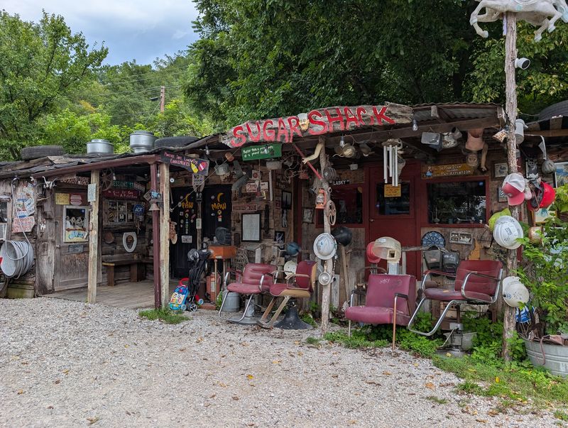 Lunch Here Feels Like A Backyard Party That Started In 1999