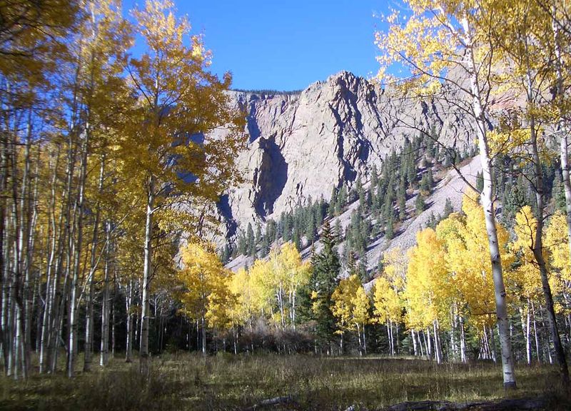Where Autumn Color Meets Mountain Silence
