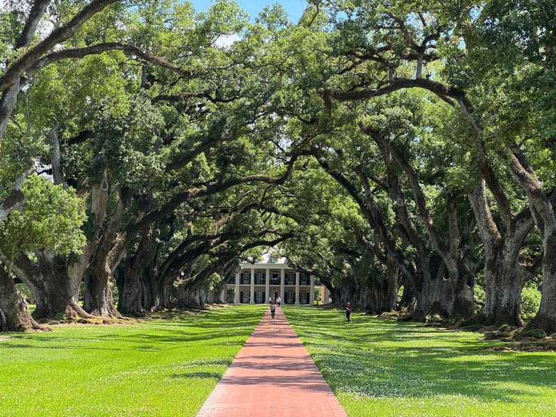 Twenty-Eight Oaks Will Stop You Before The House Does