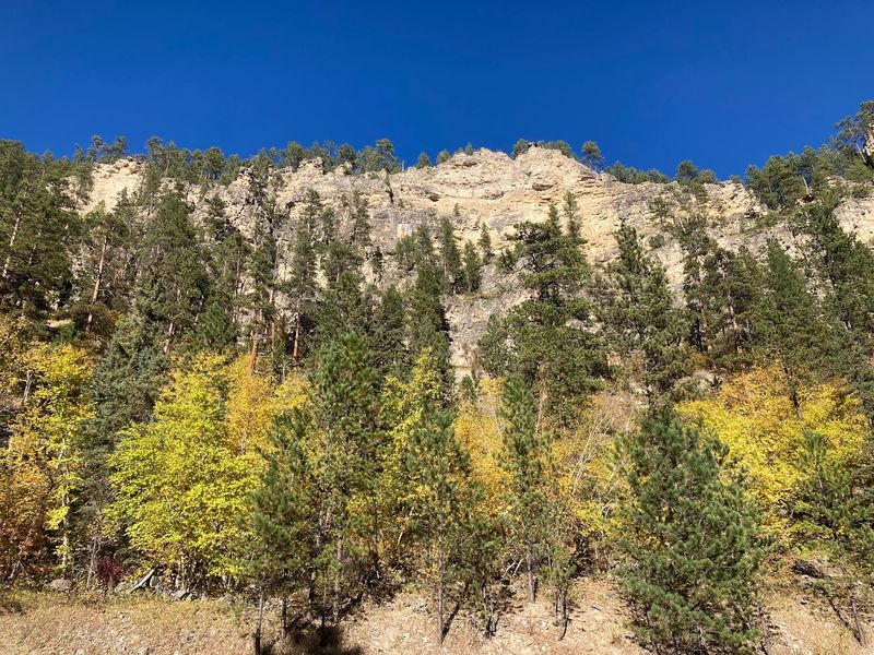 Autumn Paints These Cliffs In Colors You Will Want To Frame
