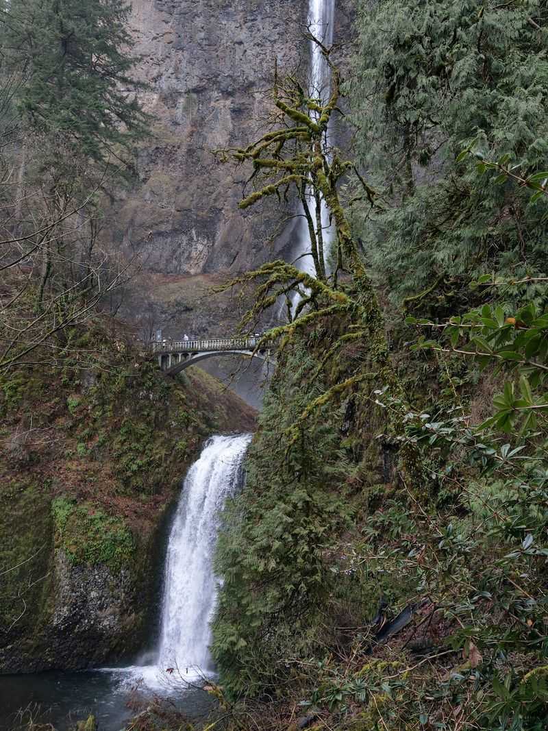 A Roadside Waterfall In The Columbia River Gorge
