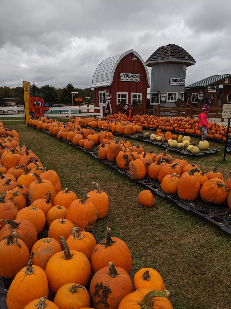 Pumpkin Fest Runs Through The Heart Of October
