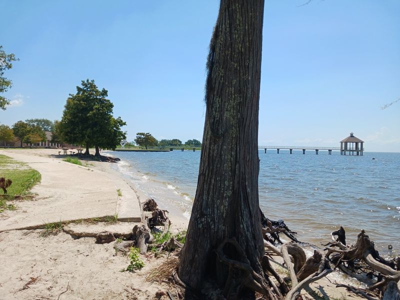 Grab Your Towel Because The Lake Has A Real Sandy Beach