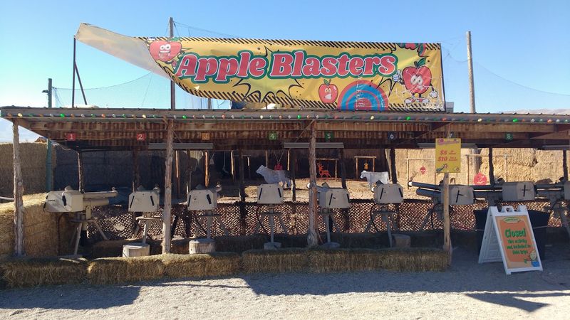 Hop On Rides With Names Like Cornado And Punkin Twister
